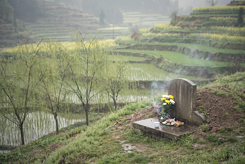 清明时节的四川乡间,细雨中青翠的山坡与柳枝,一座简朴的石墓前摆着鲜花和一只小酒杯