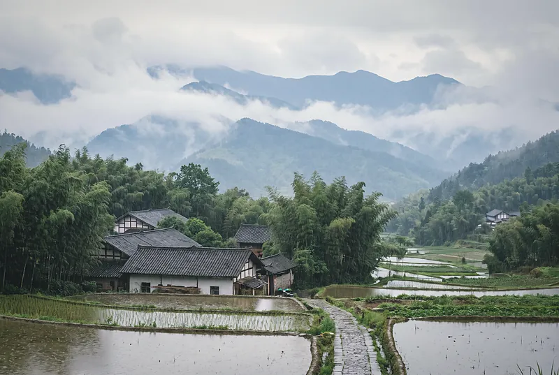细雨笼罩下的四川平原,远处是云雾缭绕的龙门山,近处是农舍与稻田
